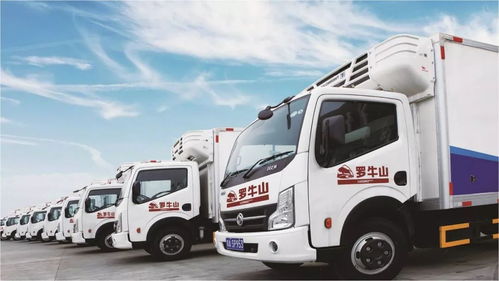 重磅 羅牛山打造快消品及商超連鎖共同配送中心 冷鏈物流空調食品倉4 5號庫招商中