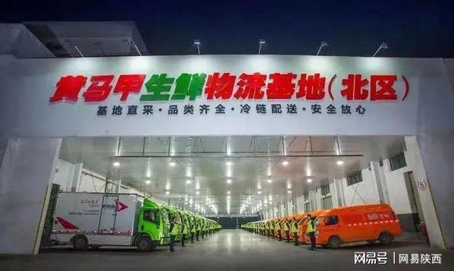 乘上這趟經開的公交,一路“生花”