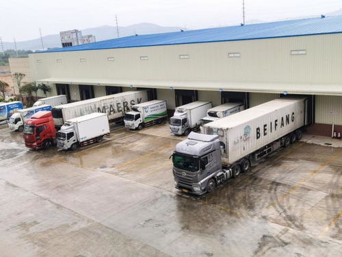 超燃 粵港澳大灣區菜籃子韶關配送中心通過生產清潔審核驗收