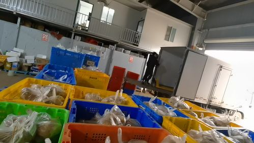 專訪全佳方信農產品供應鏈楊超 生鮮配送的危與機,抓主放輔