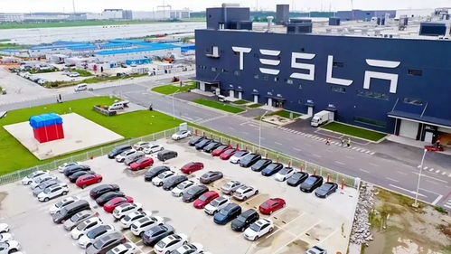 方向盤 踏板全消失 特斯拉設想的未來長這樣