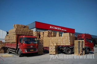 物流工偷京東商品充彩禮 贓物獻給丈母娘