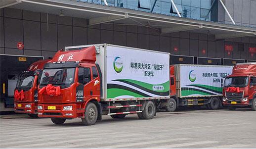 粵港澳大灣區 菜籃子 產品懷化配送分中心揭牌營運 首批供粵港澳大灣區 菜籃子 產品發車