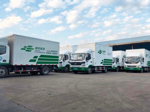 叮 您有一份包裹將通過綠色貨運配送