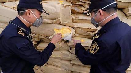 冰鮮橙子進口報關代理公司行業焦點,報關代理服務