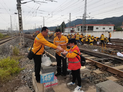 酷暑來襲 夏日送清涼