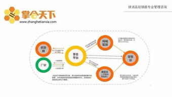 一文帶你看盡國內主流的快消b2b商業模式圖