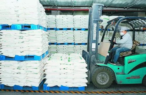 有序復工穩經濟 開足馬力保供應 西安市防疫發展兩不誤