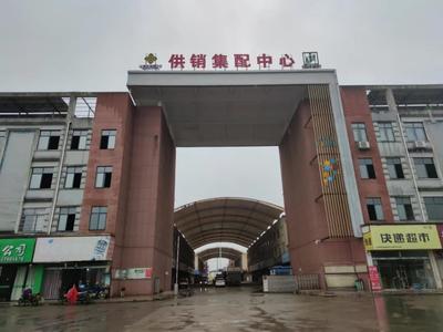 中國供銷電子商務