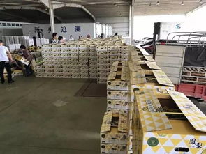 世界再大,也要回家 澄邁農業互聯網產業園邀您回家創業