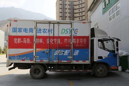 武都 打通 最后一公里 構建城鄉高效配送體系