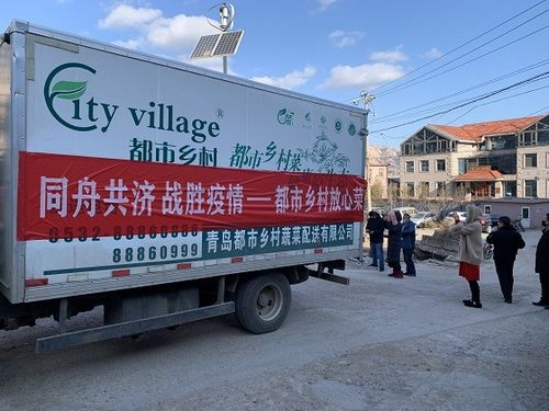 青島市商務局推動菜籃子商品電商配送與進社區活動，助力快消品高效流通