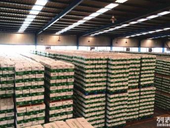 深圳專業食品快消品配送 物流高效驅動商業成功